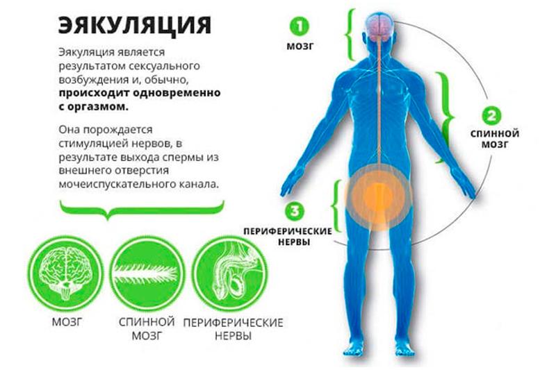 Нарушение эякуляции