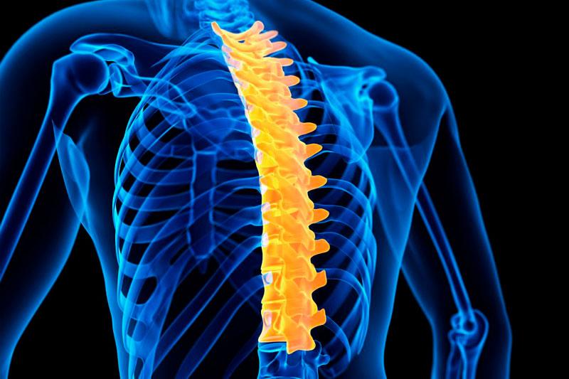 Сцинтиграфия грудного отдела позвоночника