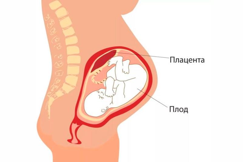 Фетоплацентарная недостаточность