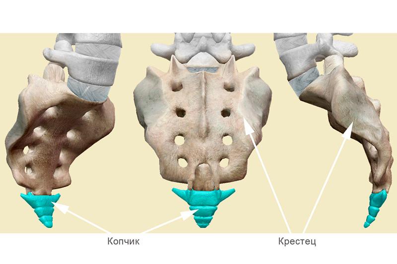 Кокцигодиния