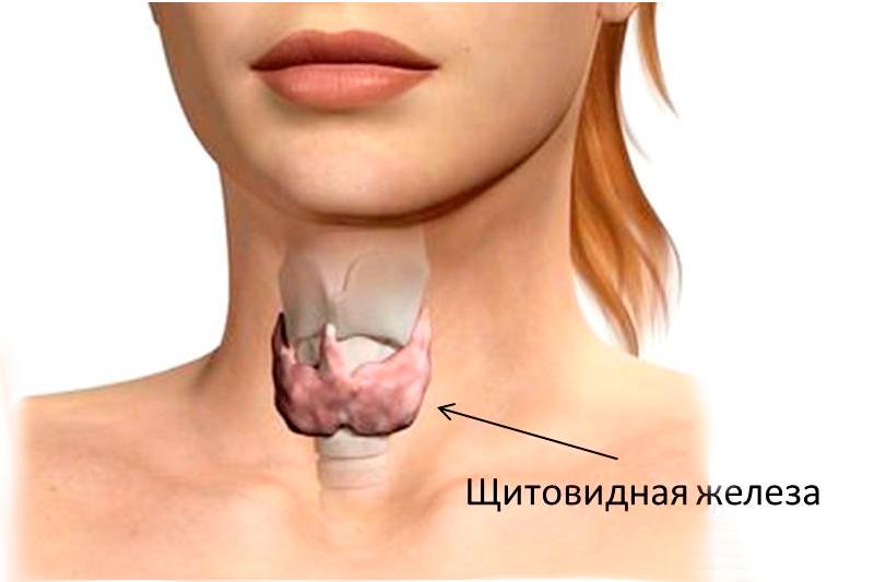Йододефицитные заболевания щитовидной железы