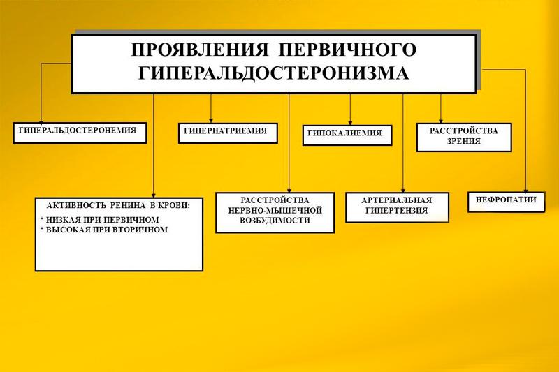 Гиперальдостеронизм и пожилой возраст. Первичный альдостеронизм